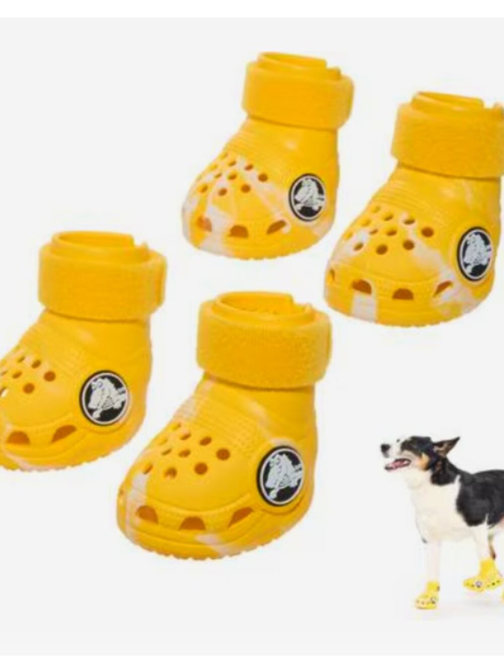 Bark Crocs for Dogs